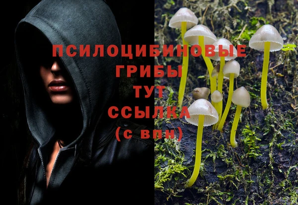 гидропоника Балахна