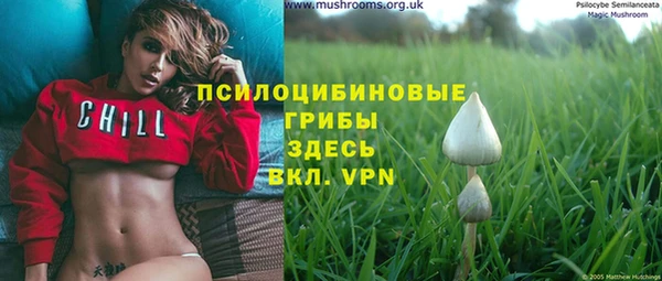 гидропоника Балахна