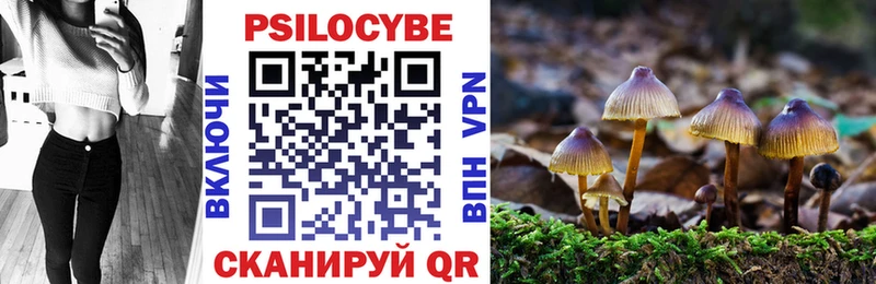 Галлюциногенные грибы GOLDEN TEACHER  omg tor  Лесозаводск 